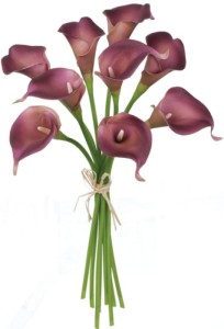purple calla lillies