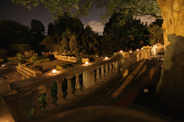nighttime gardens